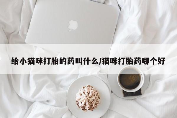 米非米索官方旗舰店给小猫咪打胎的药叫什么/猫咪打胎药哪个好
