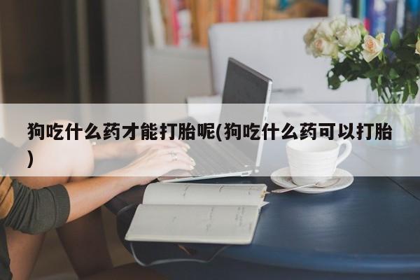 米非米索官方旗舰店狗吃什么药才能打胎呢(狗吃什么药可以打胎)