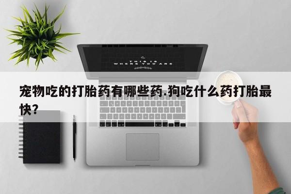 米非米索官方旗舰店宠物吃的打胎药有哪些药.狗吃什么药打胎最快？